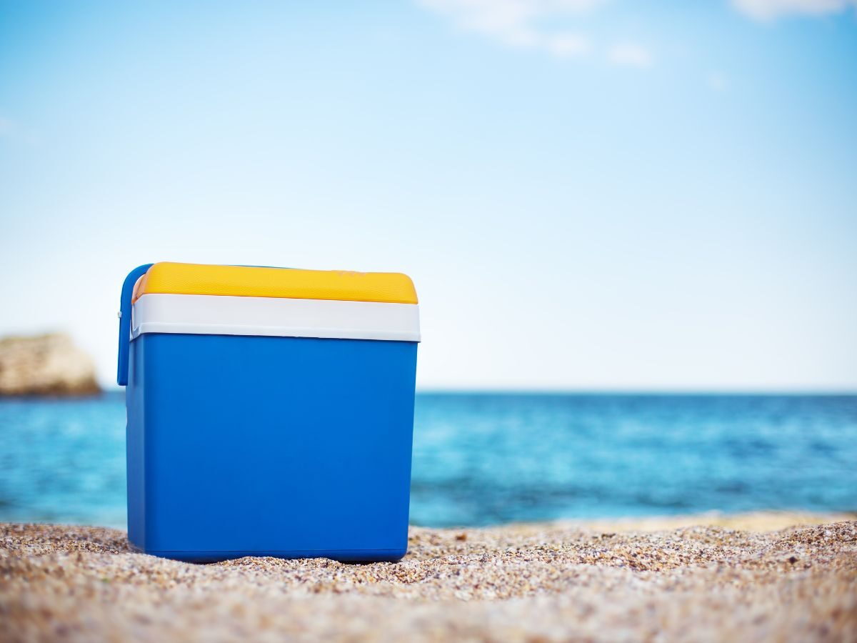 Beach Trip Essential Cooler