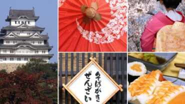 Japan visa requirements