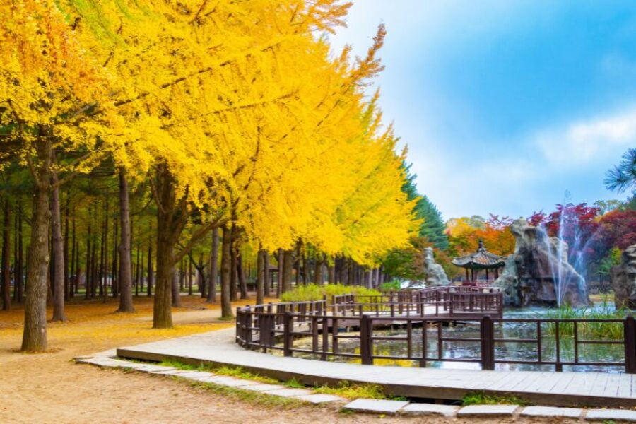 Nami Island, Korea summer tour package
